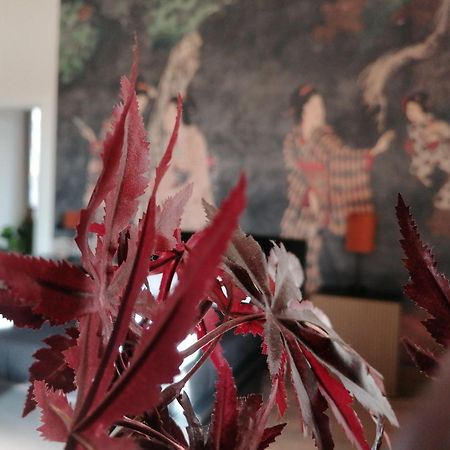 Le Boutique Luxury Rooms Diffused In Historic Center Fiumicino Exteriör bild