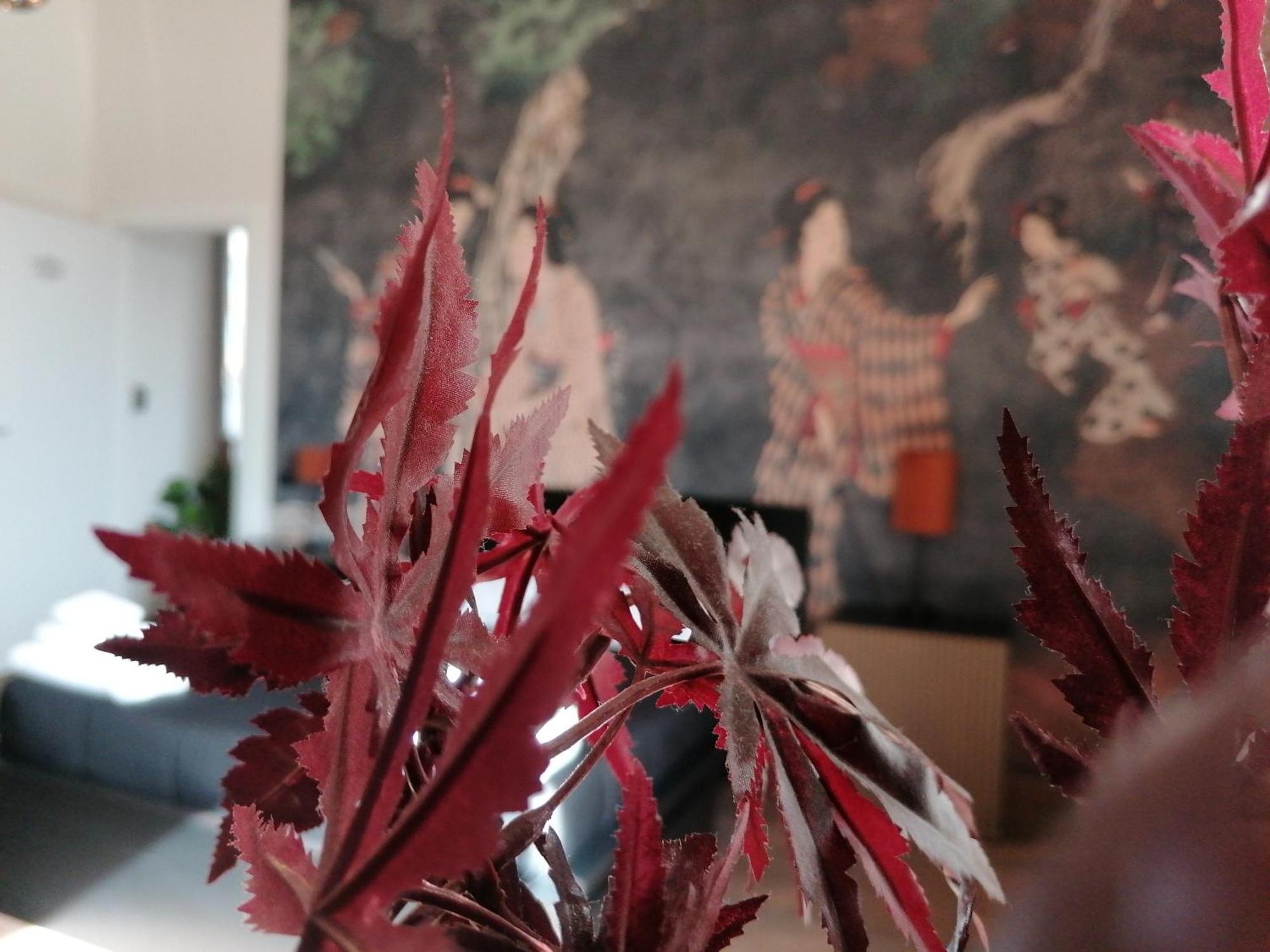 Le Boutique Luxury Rooms Diffused In Historic Center Fiumicino Exteriör bild