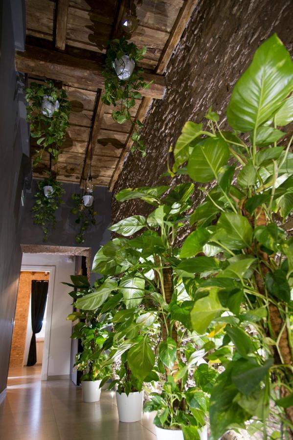 Le Boutique Luxury Rooms Diffused In Historic Center Fiumicino Exteriör bild
